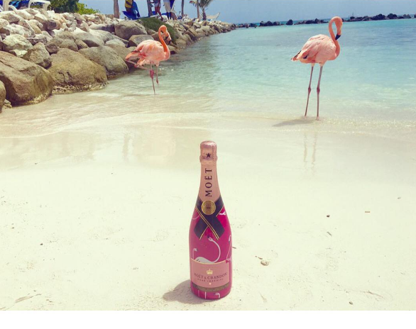 A ilha de Renaissance, que abriga o hotel de mesmo nome, fica em Aruba, no Caribe, e é lar de dezenas de flamingos cor de rosa. Além da água transparente, os turistas podem aproveitar ainda o convívio com os animais! Para entrar na ilha é preciso ser hóspede do resort ou pagar uma diária para ver toda esta beleza da natureza!