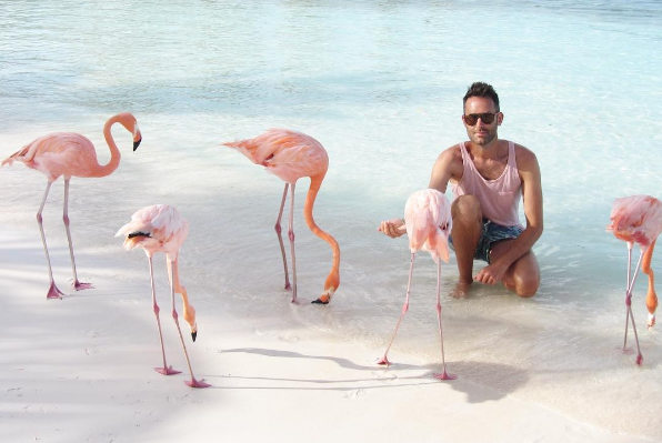 A ilha de Renaissance, que abriga o hotel de mesmo nome, fica em Aruba, no Caribe, e é lar de dezenas de flamingos cor de rosa. Além da água transparente, os turistas podem aproveitar ainda o convívio com os animais! Para entrar na ilha é preciso ser hóspede do resort ou pagar uma diária para ver toda esta beleza da natureza!