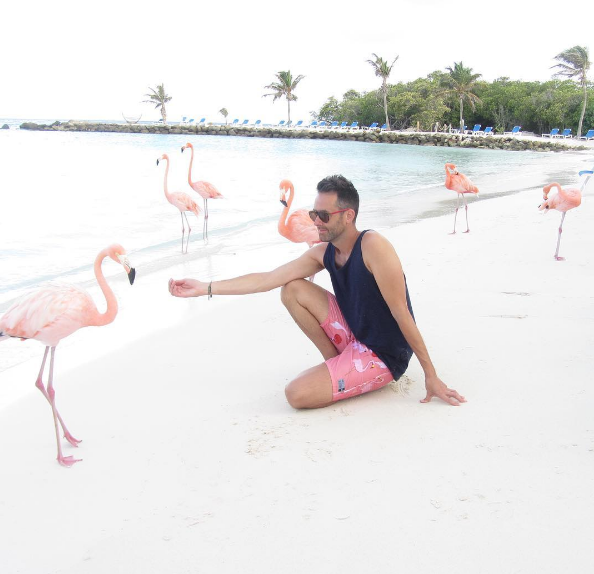 A ilha de Renaissance, que abriga o hotel de mesmo nome, fica em Aruba, no Caribe, e é lar de dezenas de flamingos cor de rosa. Além da água transparente, os turistas podem aproveitar ainda o convívio com os animais! Para entrar na ilha é preciso ser hóspede do resort ou pagar uma diária para ver toda esta beleza da natureza!