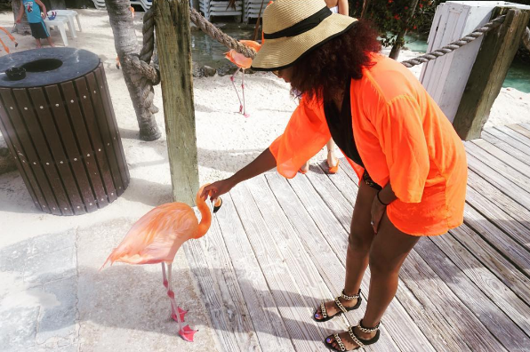 A ilha de Renaissance, que abriga o hotel de mesmo nome, fica em Aruba, no Caribe, e é lar de dezenas de flamingos cor de rosa. Além da água transparente, os turistas podem aproveitar ainda o convívio com os animais! Para entrar na ilha é preciso ser hóspede do resort ou pagar uma diária para ver toda esta beleza da natureza!