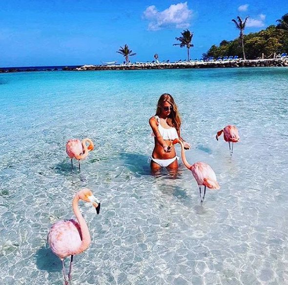 A ilha de Renaissance, que abriga o hotel de mesmo nome, fica em Aruba, no Caribe, e é lar de dezenas de flamingos cor de rosa. Além da água transparente, os turistas podem aproveitar ainda o convívio com os animais! Para entrar na ilha é preciso ser hóspede do resort ou pagar uma diária para ver toda esta beleza da natureza!