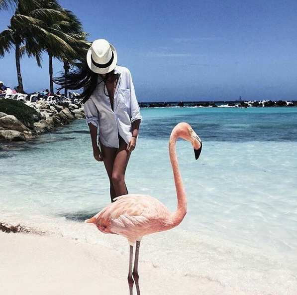 A ilha de Renaissance, que abriga o hotel de mesmo nome, fica em Aruba, no Caribe, e é lar de dezenas de flamingos cor de rosa. Além da água transparente, os turistas podem aproveitar ainda o convívio com os animais! Para entrar na ilha é preciso ser hóspede do resort ou pagar uma diária para ver toda esta beleza da natureza!