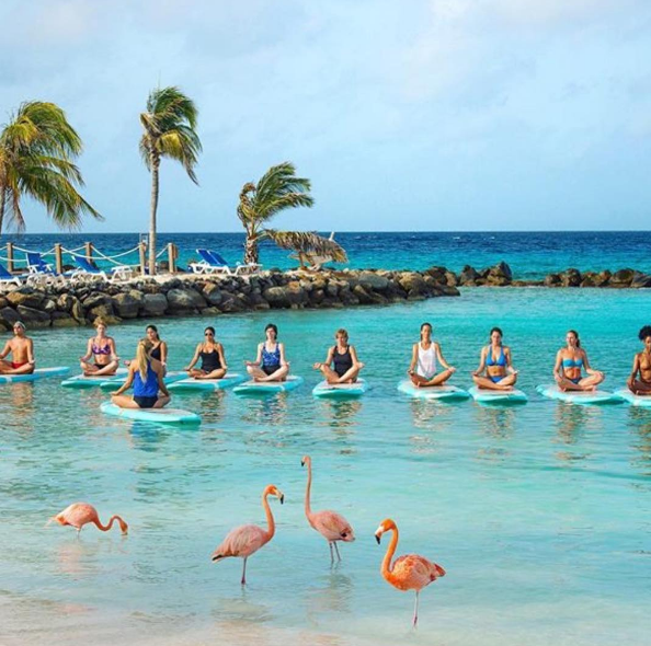 A ilha de Renaissance, que abriga o hotel de mesmo nome, fica em Aruba, no Caribe, e é lar de dezenas de flamingos cor de rosa. Além da água transparente, os turistas podem aproveitar ainda o convívio com os animais! Para entrar na ilha é preciso ser hóspede do resort ou pagar uma diária para ver toda esta beleza da natureza!