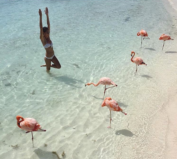 A ilha de Renaissance, que abriga o hotel de mesmo nome, fica em Aruba, no Caribe, e é lar de dezenas de flamingos cor de rosa. Além da água transparente, os turistas podem aproveitar ainda o convívio com os animais! Para entrar na ilha é preciso ser hóspede do resort ou pagar uma diária para ver toda esta beleza da natureza!