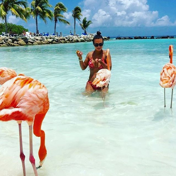 A ilha de Renaissance, que abriga o hotel de mesmo nome, fica em Aruba, no Caribe, e é lar de dezenas de flamingos cor de rosa. Além da água transparente, os turistas podem aproveitar ainda o convívio com os animais! Para entrar na ilha é preciso ser hóspede do resort ou pagar uma diária para ver toda esta beleza da natureza!