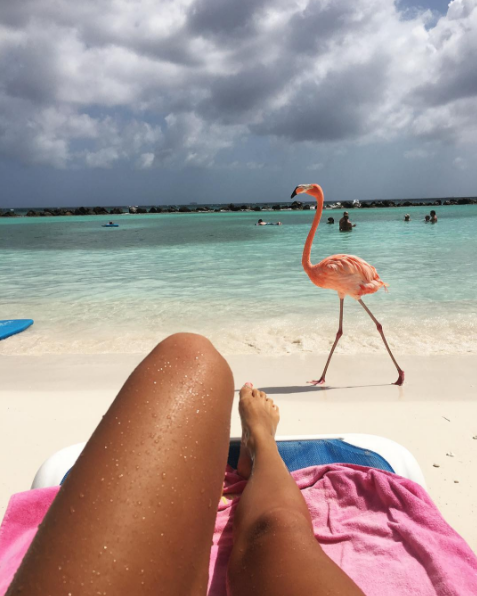 A ilha de Renaissance, que abriga o hotel de mesmo nome, fica em Aruba, no Caribe, e é lar de dezenas de flamingos cor de rosa. Além da água transparente, os turistas podem aproveitar ainda o convívio com os animais! Para entrar na ilha é preciso ser hóspede do resort ou pagar uma diária para ver toda esta beleza da natureza!