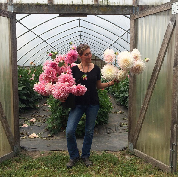 A americana Erin Benzakein desistiu da cidade grande, mudou-se para o interior com as filhas e criou uma fazenda que produz flores maravilhosas, além de um centro de botânica para cursos. Tudo é registrado por fotógrafos profissionais em fotos incríveis!
