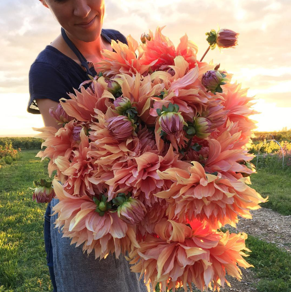 A americana Erin Benzakein desistiu da cidade grande, mudou-se para o interior com as filhas e criou uma fazenda que produz flores maravilhosas, além de um centro de botânica para cursos. Tudo é registrado por fotógrafos profissionais em fotos incríveis!