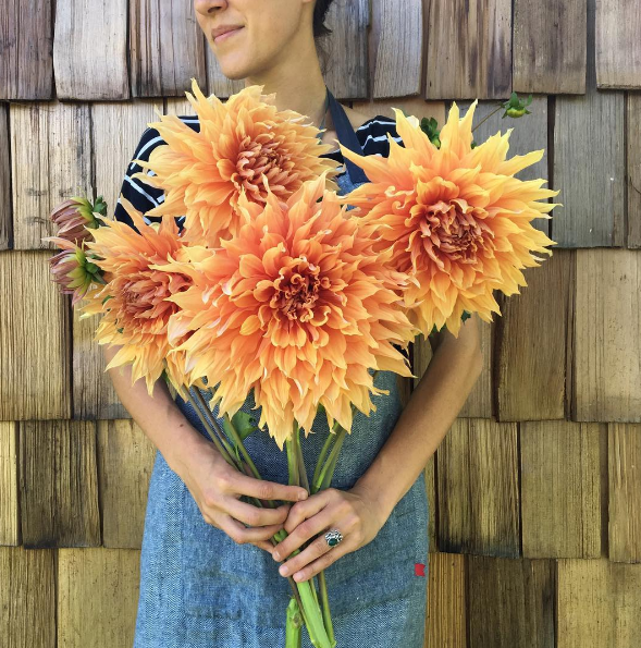 A americana Erin Benzakein desistiu da cidade grande, mudou-se para o interior com as filhas e criou uma fazenda que produz flores maravilhosas, além de um centro de botânica para cursos. Tudo é registrado por fotógrafos profissionais em fotos incríveis!