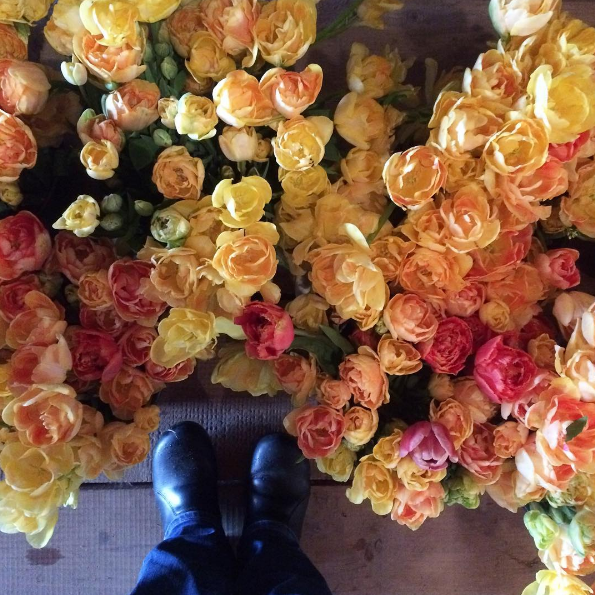 A americana Erin Benzakein desistiu da cidade grande, mudou-se para o interior com as filhas e criou uma fazenda que produz flores maravilhosas, além de um centro de botânica para cursos. Tudo é registrado por fotógrafos profissionais em fotos incríveis!