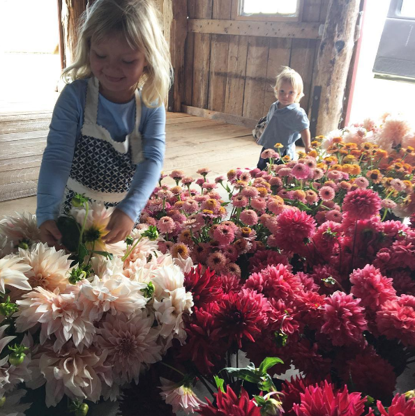 A americana Erin Benzakein desistiu da cidade grande, mudou-se para o interior com as filhas e criou uma fazenda que produz flores maravilhosas, além de um centro de botânica para cursos. Tudo é registrado por fotógrafos profissionais em fotos incríveis!