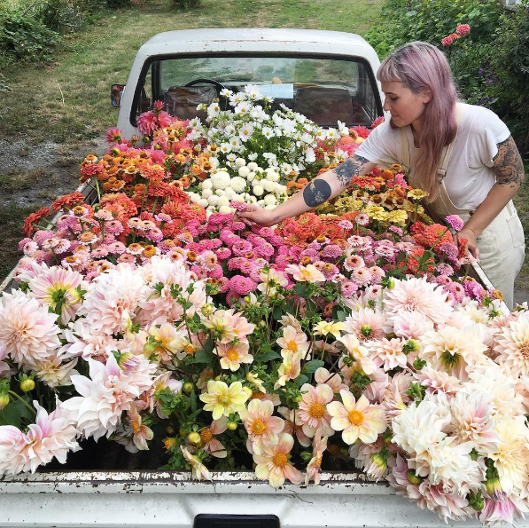 A americana Erin Benzakein desistiu da cidade grande, mudou-se para o interior com as filhas e criou uma fazenda que produz flores maravilhosas, além de um centro de botânica para cursos. Tudo é registrado por fotógrafos profissionais em fotos incríveis!