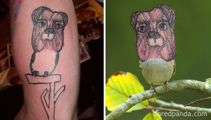 Tatuagens desastrosas trocadas pelo objeto da homenagem