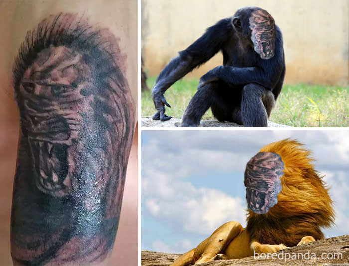 Tatuagens desastrosas trocadas pelo objeto da homenagem