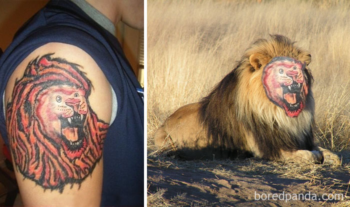 Tatuagens desastrosas trocadas pelo objeto da homenagem