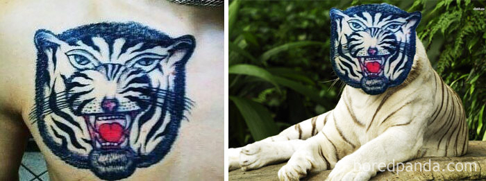 Tatuagens desastrosas trocadas pelo objeto da homenagem