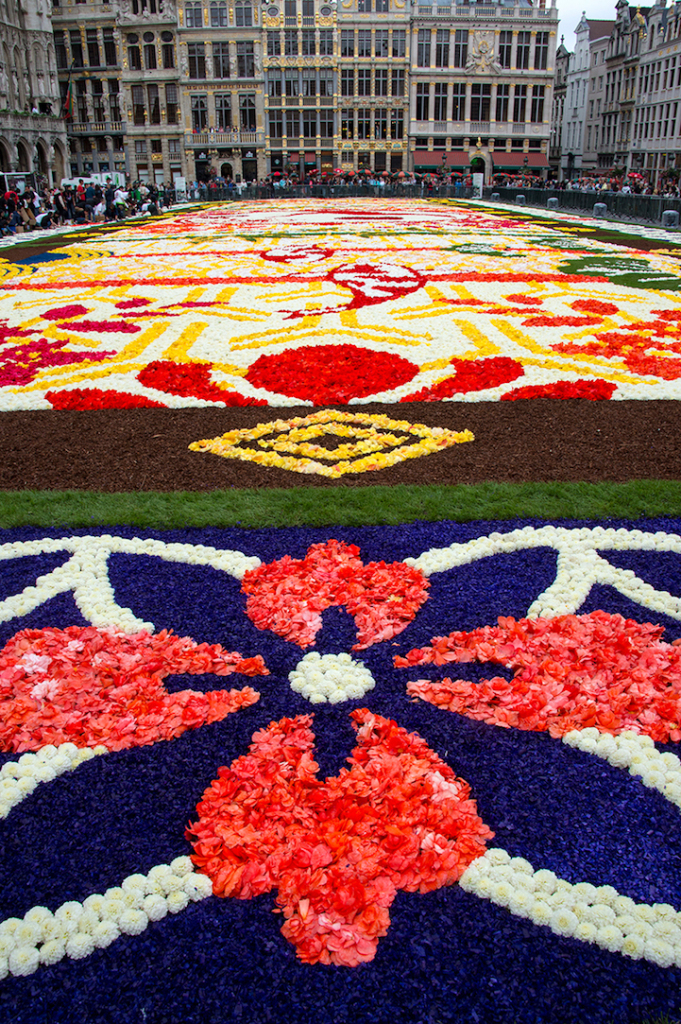 Tradição do tapete de flores em Bruxelas