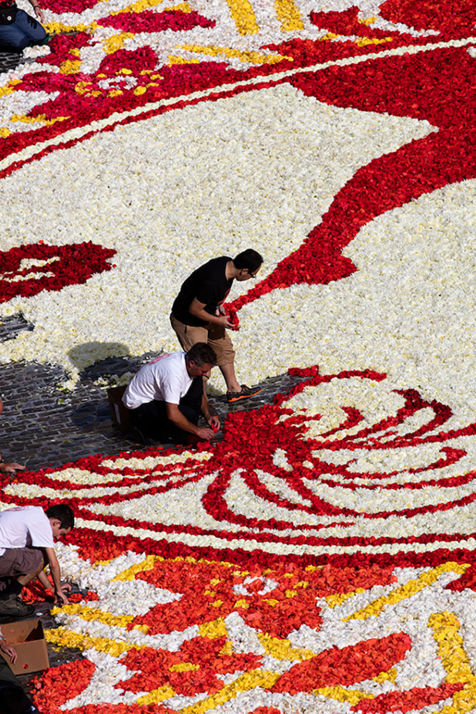 Tradição do tapete de flores em Bruxelas