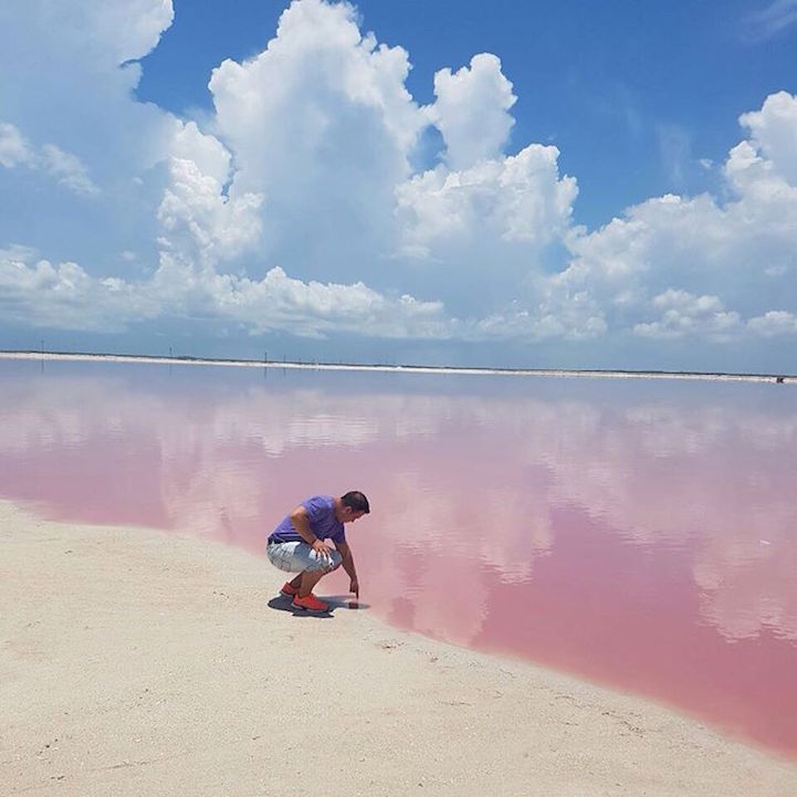 Lagoa rosa no México