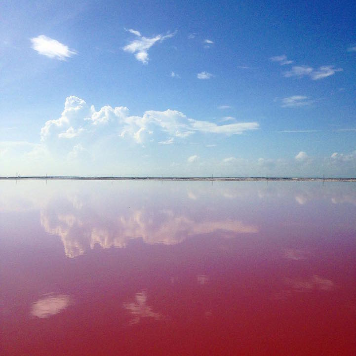 Lagoa rosa no México