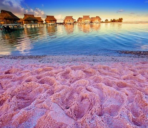Esta praia de areia rosada fica na ilha de Harbour, nas Bahamas