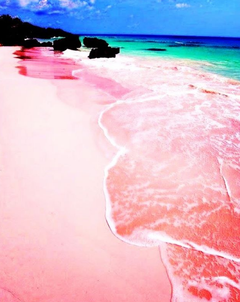 Esta praia de areia rosada fica na ilha de Harbour, nas Bahamas