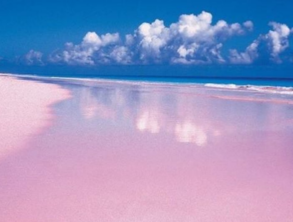 Esta praia de areia rosada fica na ilha de Harbour, nas Bahamas