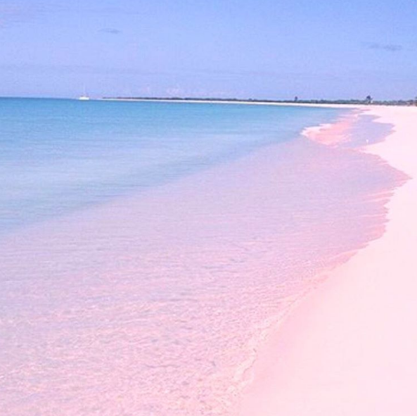 Esta praia de areia rosada fica na ilha de Harbour, nas Bahamas