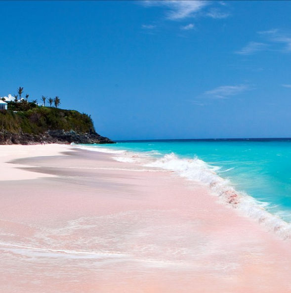 Esta praia de areia rosada fica na ilha de Harbour, nas Bahamas