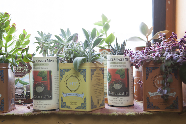 Apartamento em NY ganha vida com 500 plantas