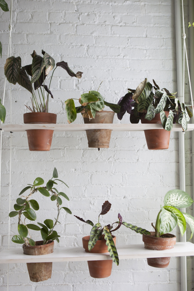 Apartamento em NY ganha vida com 500 plantas