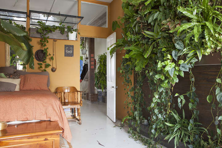 Apartamento em NY ganha vida com 500 plantas