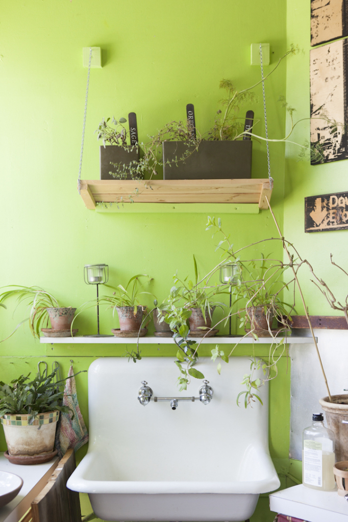 Apartamento em NY ganha vida com 500 plantas