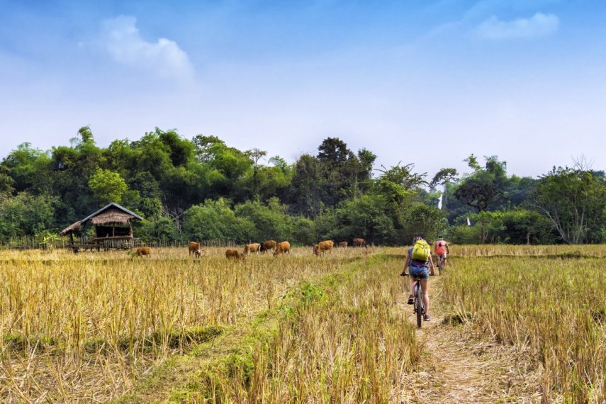 A Ásia já é um dos destinos mais baratos em relação a alimentação e hospedagem, então junte suas economias e se jogue pelas belas paisagens em passeios super em conta pela região.