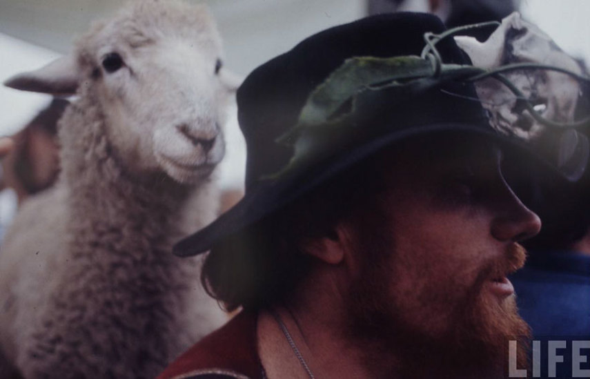 O site Bored Panda recuperou um ensaio que a extinta revista Life publicou sobre o lendário festival de Woodstock, nos Estados Unidos, em 1969