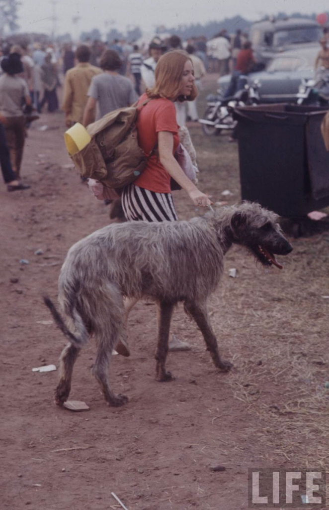 O site Bored Panda recuperou um ensaio que a extinta revista Life publicou sobre o lendário festival de Woodstock, nos Estados Unidos, em 1969