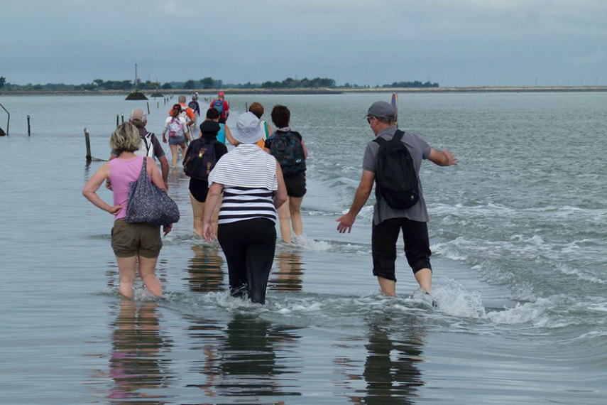 A estrada Passage du Gois liga o Golfo do Burnёf a ilha de Noirmoutier