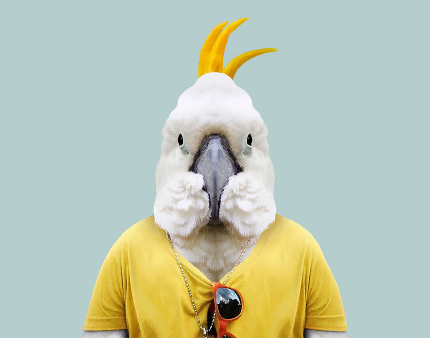 Yago Partal passou três anos de sua vida fotografando animais e os vestindo cada um deles como humanos. Digitalmente, é claro.