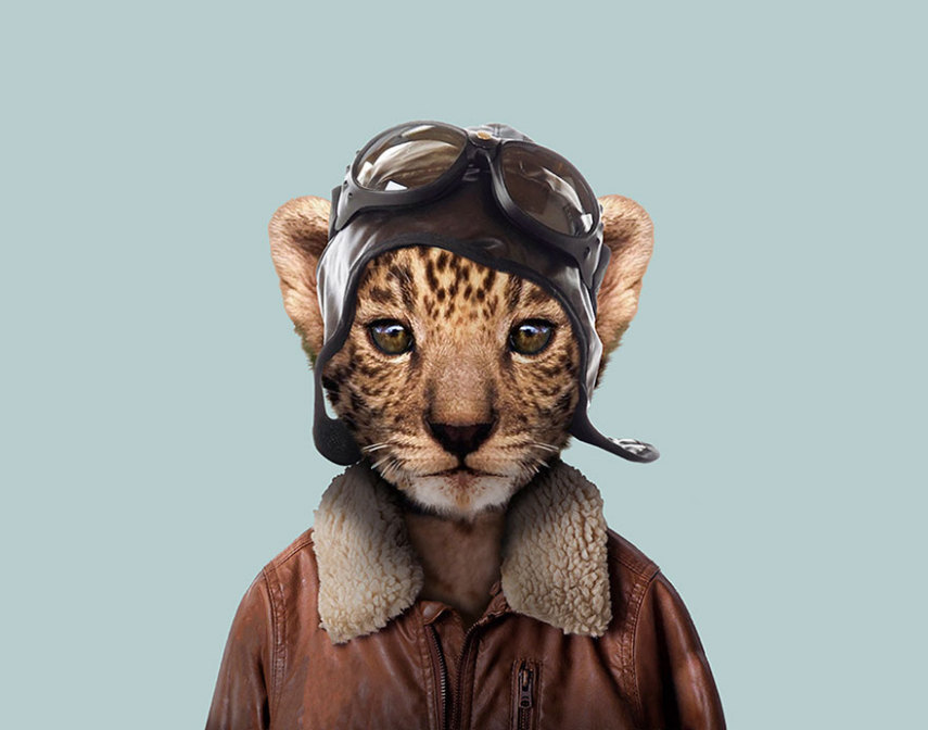 Yago Partal passou três anos de sua vida fotografando animais e os vestindo cada um deles como humanos. Digitalmente, é claro.