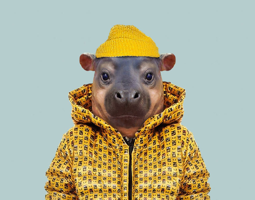 Yago Partal passou três anos de sua vida fotografando animais e os vestindo cada um deles como humanos. Digitalmente, é claro.