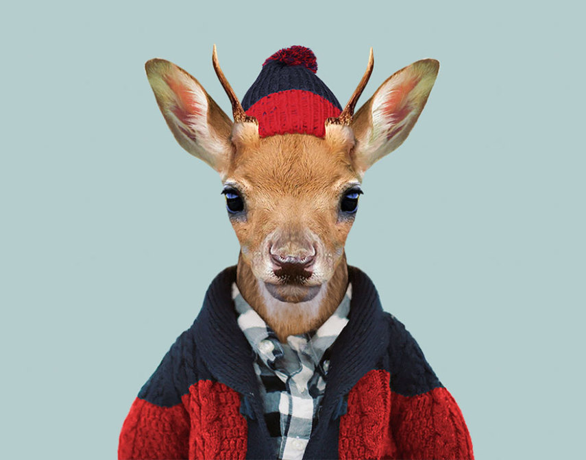Yago Partal passou três anos de sua vida fotografando animais e os vestindo cada um deles como humanos. Digitalmente, é claro.