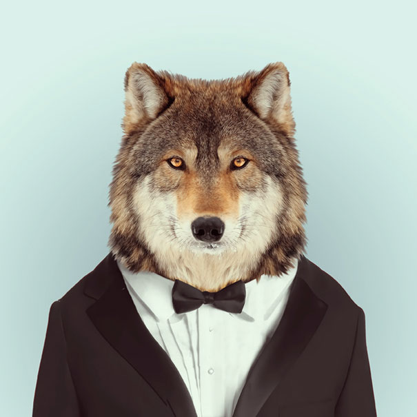 Yago Partal passou três anos de sua vida fotografando animais e os vestindo cada um deles como humanos. Digitalmente, é claro.