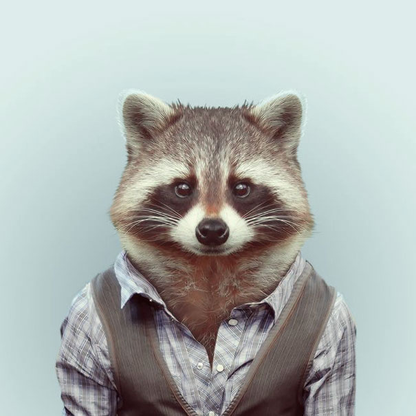 Yago Partal passou três anos de sua vida fotografando animais e os vestindo cada um deles como humanos. Digitalmente, é claro.