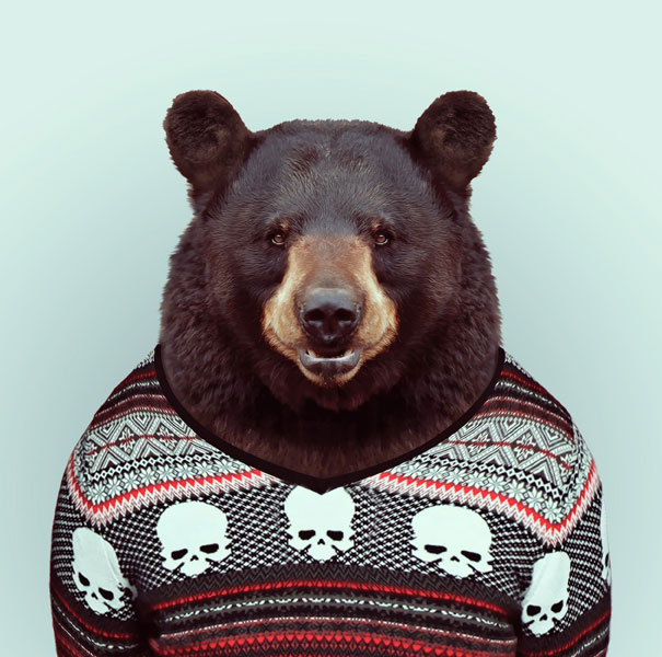 Yago Partal passou três anos de sua vida fotografando animais e os vestindo cada um deles como humanos. Digitalmente, é claro.