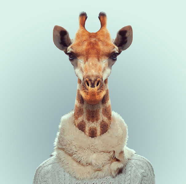 Yago Partal passou três anos de sua vida fotografando animais e os vestindo cada um deles como humanos. Digitalmente, é claro.