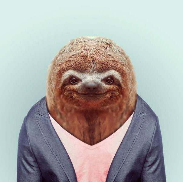 Yago Partal passou três anos de sua vida fotografando animais e os vestindo cada um deles como humanos. Digitalmente, é claro.