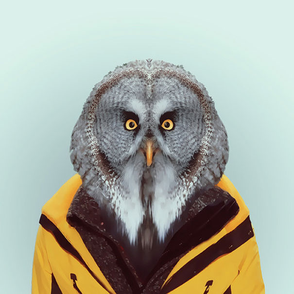 Yago Partal passou três anos de sua vida fotografando animais e os vestindo cada um deles como humanos. Digitalmente, é claro.