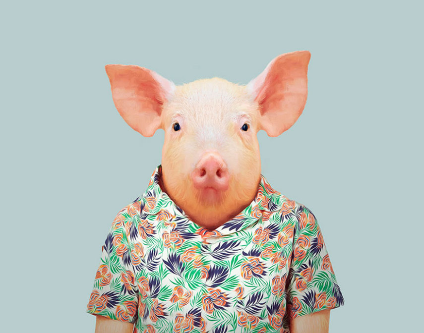 Yago Partal passou três anos de sua vida fotografando animais e os vestindo cada um deles como humanos. Digitalmente, é claro.