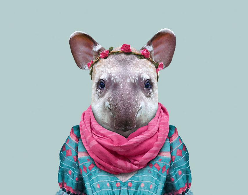Yago Partal passou três anos de sua vida fotografando animais e os vestindo cada um deles como humanos. Digitalmente, é claro.