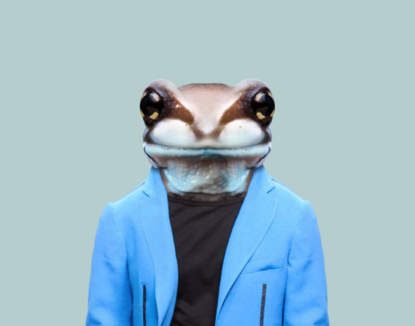 Yago Partal passou três anos de sua vida fotografando animais e os vestindo cada um deles como humanos. Digitalmente, é claro.